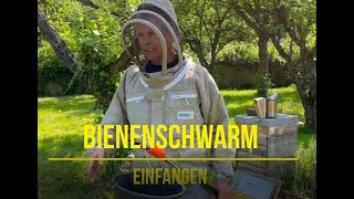 Schwarm einfangen mit dem Obstpflücker