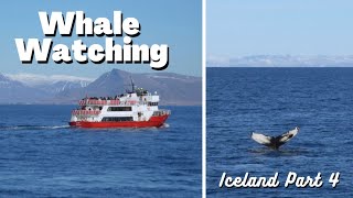 Whale Watching in Iceland and STUNNING Northern Lights by Boat | Iceland for a Week Part 4