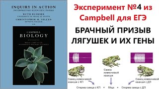 Эксперимент №4 из Campbell для ЕГЭ - Брачный призыв и "хорошие гены" лягушек