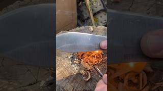 The huntsman’s knife makes a fire #shorts #fire #bushcraftknife #fixedblade #bushcraft