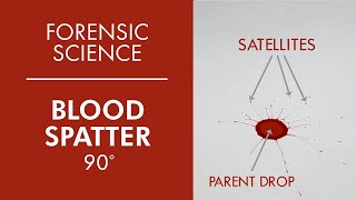 CSI - Forensic Blood Spatter Characteristics - Criminalistics