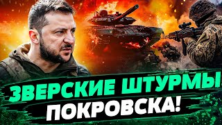 ❗️ЗЕЛЕНСКИЙ НА ПЕРЕДОВОЙ! НАСТУПЛЕНИЕ РФ ЗАХЛЕБНУЛОСЬ! КОЛЛОСАЛЬНЫЕ ПОТЕРИ РОССИЯН — Цехоцкий