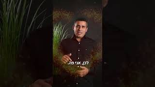 עולם הנדל"ן