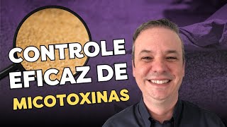 Augusto Heck: Mitos e Verdades das Micotoxinas na Suinocultura