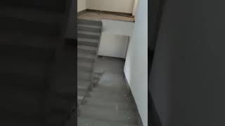 unique stairs #stairs #engineer #funnyengineer #funny #funnyshorts #shorts #youtubeshorts #subscribe