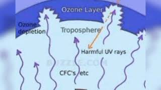 What is ozone depletion and how it effects