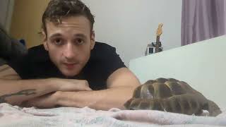 Tortoise Rescue