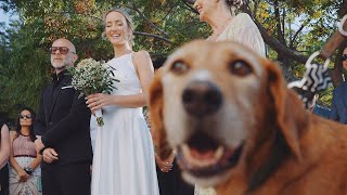 Wedding in Kea island (Tzia)|| D+K || Γάμος στη Τζιά