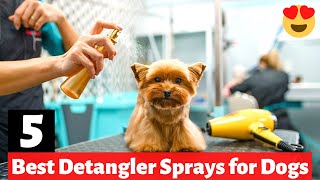 5 Best Detangler Sprays for your Dog