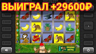 Выиграл +29600 руб. в игровой автомат Crazy Monkey (Крези Манки) | Занос в слоты Обезьянки