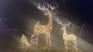 Christmas Lights at Harrison Hot Springs, BC, 2023