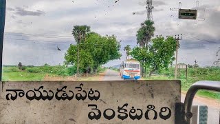 Venkatagiri To Naidupeta Pallevelugu Ordinary Bus Journey || Moving Tubes