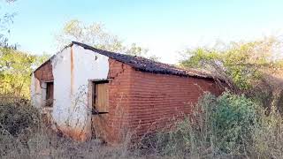 Registro na Fazenda Açude Novo no Monte Sion em ParambúCe.