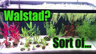 40g Walstad-Hybrid Grow Tank | Plant Propagation Tank