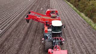 Potato harvesting with the Dewulf potato harvester - drone footage