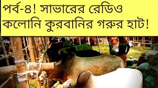 পর্ব-৪!সাভারের রেডিও কলোনি কুরবানির পশুর হাটে গরুর দাম সম্পর্কে ধারণা! হাট প্রতিবেদন!