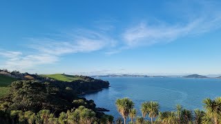 Sheep Heaven in New Zealand | Duder regional park