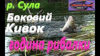 #Сула #Година рибалки #РибачуЯкУмію