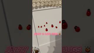 So cute lady bugs!🐞 🐞🐞 Jazzy loves playing with them lol 😂 #ladybugs  #funny  #fun #viralvideo