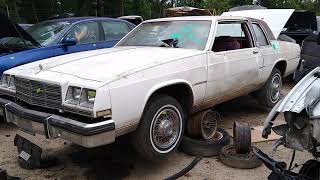 Junkyard adventures Buick Lesaber 2 door. These littered the roads 15 years ago. Now? They are gone!