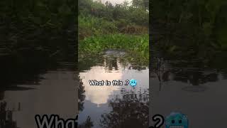 প্রাকৃতিক গ্যাস এর খনি নদীর তলায় । #reels #nature #shorts #viral