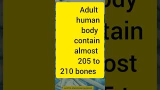 Adult human body bones #gk #shorts #generalknowledge