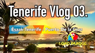 Tenerife Vlog 03: Észak-Tenerife: Puerto de la Cruz és Loro Park #árak #utazás #tenerife