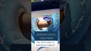 #videoshort #любов #психолог #відносини