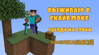 ВЫЖИВАЮ В СКАЙБЛОКЕ С СЕСТРОЙ