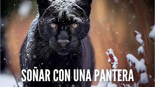 Que Significa Soñar con Panteras - Significado de Soñar con una Pantera