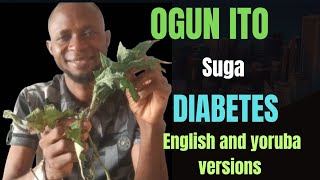 OGUN ITO SUGAH English version