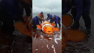 Giant Clownfish Caught by Fishermen! 🐟🎣#GiantSeaCreatures #FishingDiscoveries #oceanmysteries