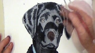 How To Paint A Black Dog With Watercolor