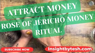 💰✨ROSE OF JERICHO MONEY RITUAL 💵💫 ATTRACT MONEY