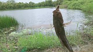 Mancing Di Danau Pertamina Panen Strike