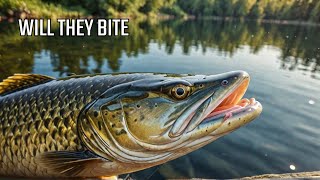 Fatal Temptation: Will Pike Fish Fall for Irresistible Bait? | Pike Fishing Challenge