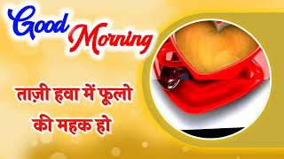 💛Good morning status Good morning song WhatsApp status video