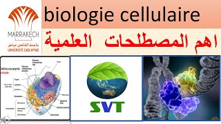 مصطلحات بيولوجيا الخلية terminologie de la biologie cellulaire  المصطلحات العلمية البيولوجيا الخلية