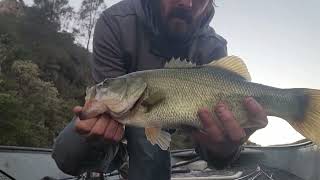 Morning summer bite at Santa Margarita Lake