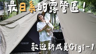 #40露【亨野草堂｜南投竹山】盛夏日式露營，歡迎新成員 gigi-1 TC ft.包霸子 酸菜角煮刈包｜陳先陳太