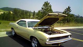 70 BARRACUDA COOL DEADWOOD NIGHTS