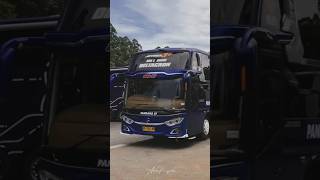 Bus Pandawa87 Deltacorn