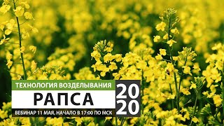 Технология возделывания РАПСА 2020