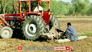 Mf 385 with cultivator | Wheat cultivation has started in our village