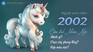 Người sinh năm 2002 (Tuổi Nhâm Ngọ) hợp cây gì - màu gì? - Phong thủy tuối Nhâm Ngọ | Nhà Mới Xanh