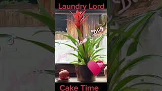 Happy Mother‘sDay Laundry Lord cake