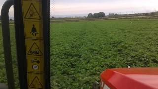 Spraying in Co.Down