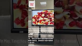 China’s Culinary Heritage and Artificial intelligence AI in cooking