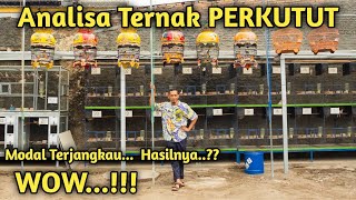 HOBI yang menghasilkan....!! Ternak Perkutut semakin diminati