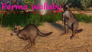 Parma Wallaby by Lobry - Planet Zoo Mod